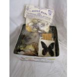 Tin of shells & butterfly specimens