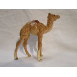 Beswick camel calf - Model 1043