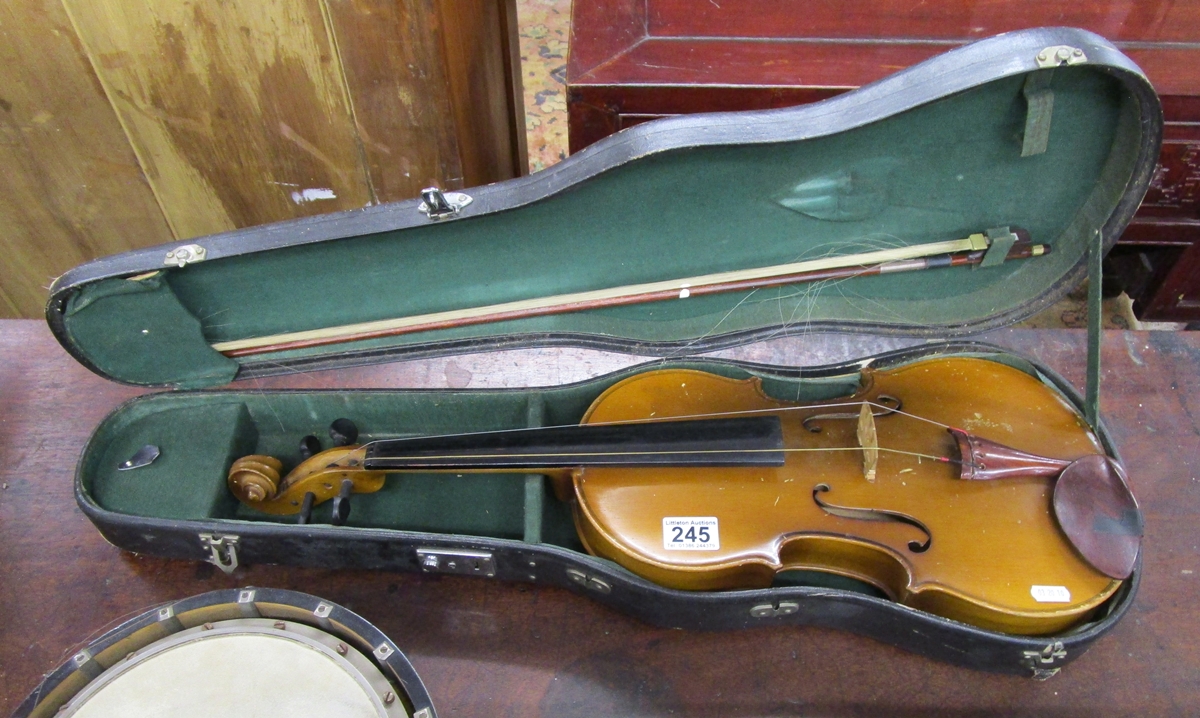 Cased viola