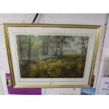 Signed L/E print by David Dipnall - Morning Bluebell's