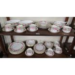 Royal Worcester part dinner service over 2 shelves - Royal Garden