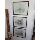 3 ornithological prints