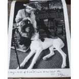DUNCAN RABAN ' Keith Richard at home with Chanel', photograph on heavy paper,