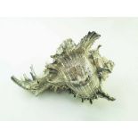 SILVER CLAD SEASHELL, similar to previous Lot but smaller, approx 19cm x 12cm H max.