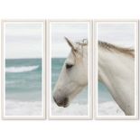 TROWBRIDGE GALLERY TRIPTYCH PHOTOGRAPH, 'Beach Horse', limited edition 25/295.