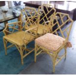 CONSERVATORY DINING CHAIRS, a set of eight, including two carvers, six with cushions,