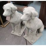 DOG STATUES, a pair, in reconstituted stone, 71cm H.