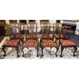 DINING CHAIRS, a set of eight,