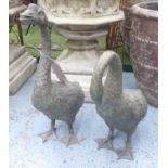 GARDEN GEESE, a pair, in a verdigris finish, larger 67cm H.