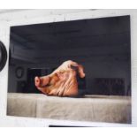 20TH CENTURY SCHOOL 'Pig's Head', print mounted on aluminium, 120cm x 160cm.