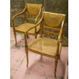 OPEN ARMCHAIRS, a pair, Sheraton style painted with caned backs and seats, 55cm.