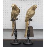 TABLE ORNAMENTS, a pair, parrotts in gilded resin finish, 38cm H.