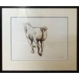 CLAIRE NORRINGTON, 'Study of a Cob Horse', 1995, pastel drawing, signed and dated lower right,