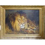 SOUTH AFRICAN SCHOOL 'Lions', oil on canvas, circa 1900, signed lower left, 50cm x 70cm,