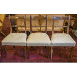 DINING CHAIRS, a set of ten, Regency and later mahogany,