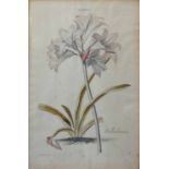 A SET OF SEVEN MISCELLANEOUS ENGRAVINGS, including Sidney Wilson, five 65cm x 58cm, two 56cm x 45cm,