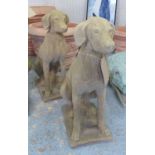 HOUNDS, a pair, 19th century inspired, in a weathered composite Cotswold style stone,