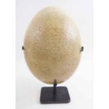 REPLICA 'ELEPHANT BIRD EGG', by Natural History artist and author Tony Ladd, 33cm H,