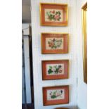FOUR ORIENTAL FLORAL PAINTINGS, on rice paper, mounted and framed, each 29.5cm H x 40cm overall.