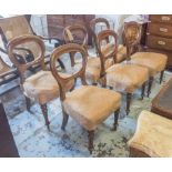 DINING CHAIRS, a set of six, mid Victorian mahogany having balloon backs with stuff over seats.