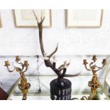 CANDELABRAS, a pair, three branch classical design in brass,