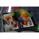 FLY BOX WITH VARIOUS FISHING FLIES