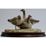 A LIMITED EDITION BORDER FINE ARTS STUDY OF A GAGGLE OF GEESE ON WOODEN STAND, SIGNED AYRES,