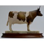 A LIMITED EDITION BORDER FINE ARTS MODEL OF AN AYRSHIRE COW ON WOODEN STAND, SIGNED E. MACALLISTER &