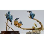 A BORDER FINE ARTS KINGFISHER DISPLAY ON WOODEN STAND, BY AYRES, TOGETHER WITH A BORDER FINE ARTS