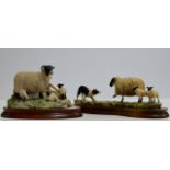 A BORDER FINE ARTS SHEEP GROUP, ON WOODEN STAND, BY AYRES, TOGETHER WITH A BORDER FINE ARTS