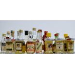 22 VARIOUS ALCOHOL MINIATURES