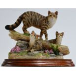 A BORDER FINE ARTS WILD HIGHLAND CAT GROUP, "HIGHLAND SECRET", ON WOODEN STAND, LIMITED EDITION