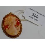 A VINTAGE 9 CARAT GOLD MOUNTED CAMEO BROOCH PIN PENDANT