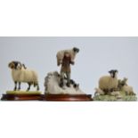 A BORDER FINE ARTS RAM ORNAMENT BY AYRES, WITH WOODEN STAND, LIMITED EDITION NUMBER 873/950,