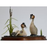 A LARGE BORDER FINE ARTS BIRD GROUP, ON WOODEN STAND, BY AYRES