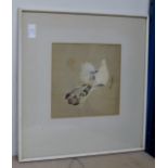 FRAMED ORIENTAL PICTURE - PIGEONS