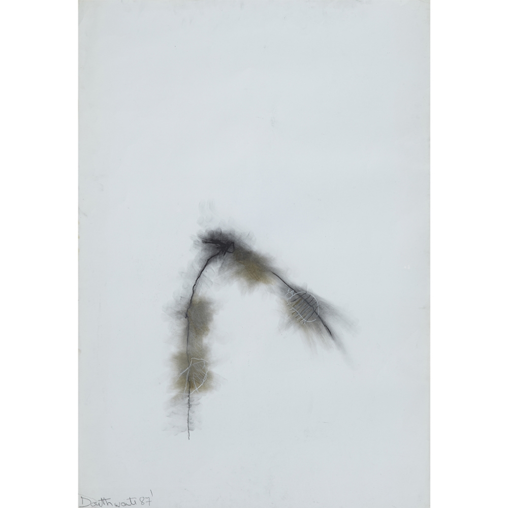 [§] PAT DOUTHWAITE (SCOTTISH 1934-2002) INSECT ON A TWIG Signed and dated '87, charcoal and chalk on