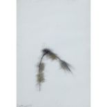 [§] PAT DOUTHWAITE (SCOTTISH 1934-2002) INSECT ON A TWIG Signed and dated '87, charcoal and chalk on