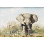 [§] DAVID SHEPHERD C.B.E., F.R.S.A. (BRITISH 1931-2017) AFRICAN ELEPHANTS Signed and dated '94,