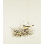 BIRDS OF HONG KONGLITHOGRAPH signed (signature illegible), numbered 52 of 300; together with a PRINT