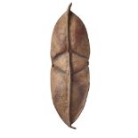 KONSO SHIELD hide, of leaf shaped form, the leather embossed with dotted decoration and red pigment,