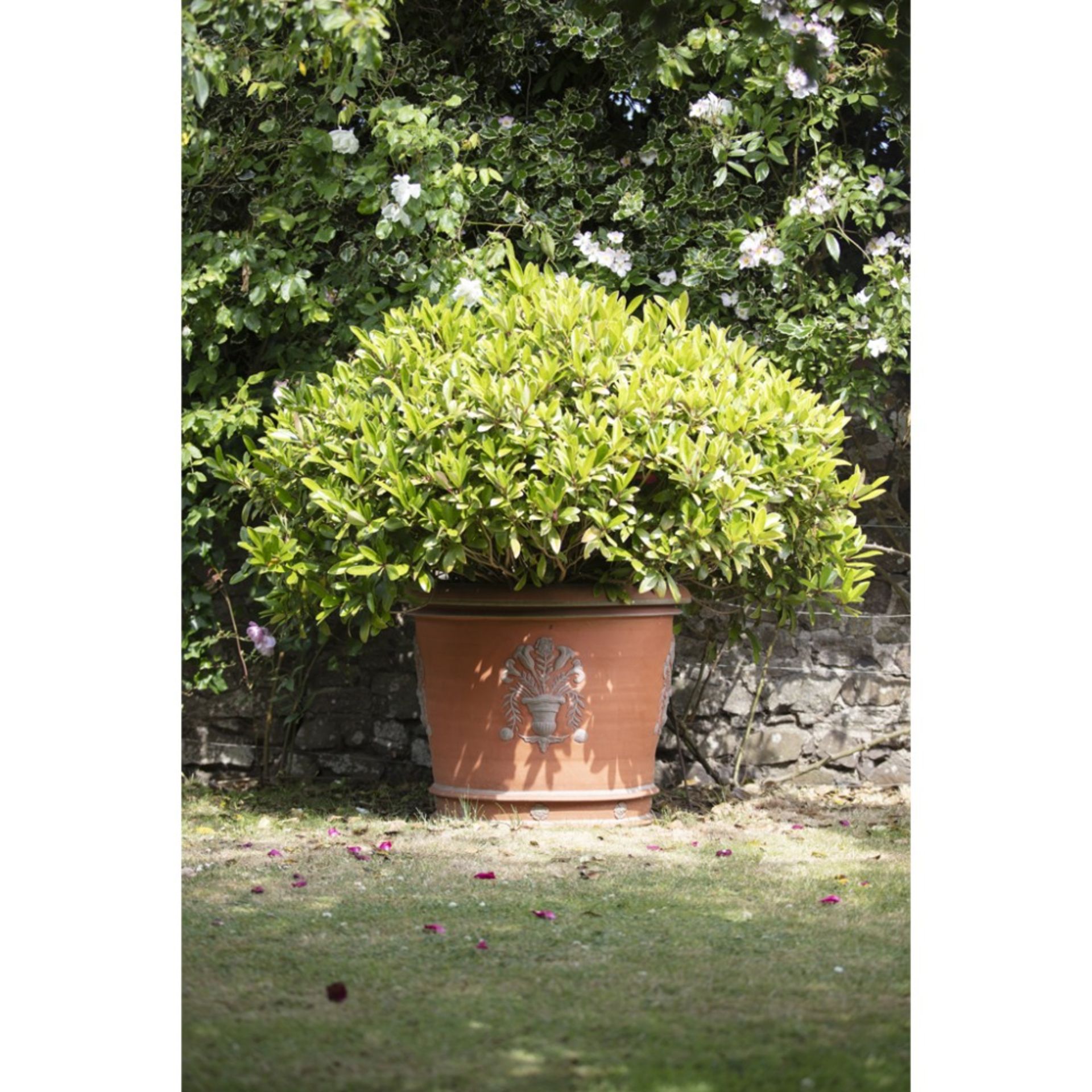 WHICHFORD POTTERY LARGE HAND-THROWN TERRACOTTA GARDEN FLOWERPOT, MODERN of large flaring form,