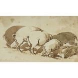 THOMAS ROWLANDSON (BRITISH 1756-1827)PIGS AT A TROUGH Signed, ink and wash11.5cm x 20cm (4.75in x