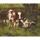 DAVID GAULD R.S.A. (SCOTTISH 1865-1936)CALVES IN WOODLAND Signed, oil on canvas51cm x 61cm (20in x