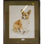 E.S. Winsgate 'Yorkie' Corgi seated Watercolour, signed and dated 1979 43cm x 33cm