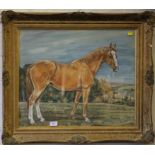 Sylvia Macartney 'Robin' - Portrait of a horse Pastel Signed and dated November 1957 47cm x 57cm