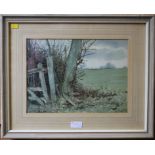 P. Read country landscape watercolour, signed 24cm x 33cm and S. Hayes cows grazing watercolour 20.