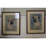 Marie Heys Portraits of bulldogs - a pair Pastel, signed and dated '89 and '92 38cm x 28cm