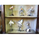 Six Albany Fine China and bronze figures of birds: Kingfisher, Blue Tit, Chaffinch, Wren, Linnet and