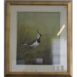 K. Richardson Study of a Lapwing amongst the rushes watercolour 52cm x 42cm